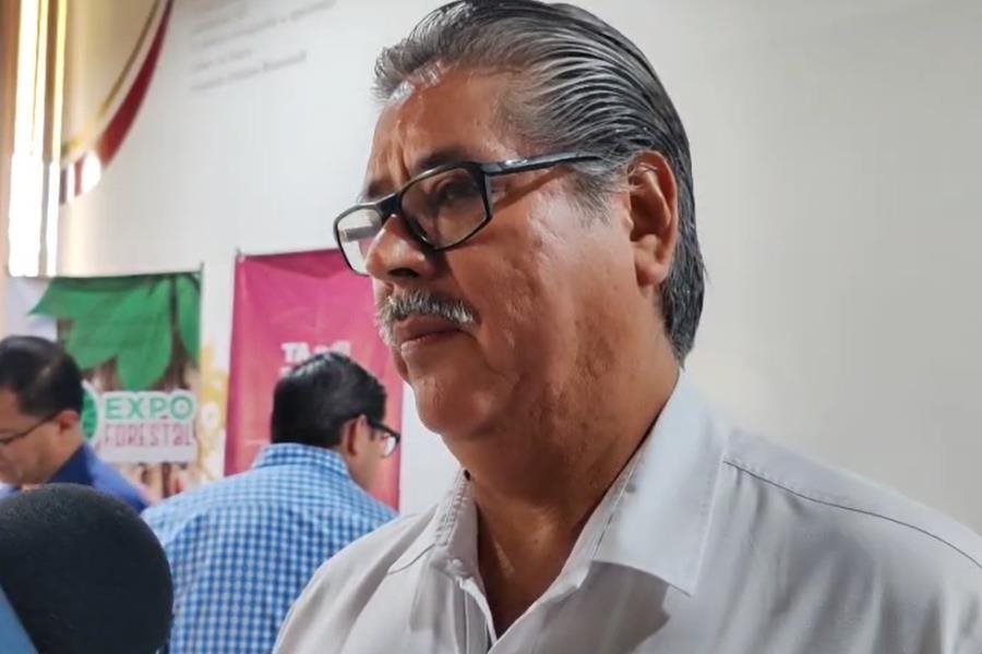 Tabasco 4to lugar nacional en plantación forestal comercial y producción de madera: Comesfor