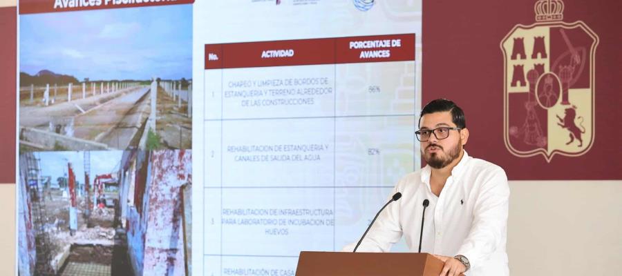No descarta subsecretaría de Pesca ampliación del programa ostrícola a más municipios No descarta subsecretaría de Pesca ampliación del programa ostrícola a más municipios