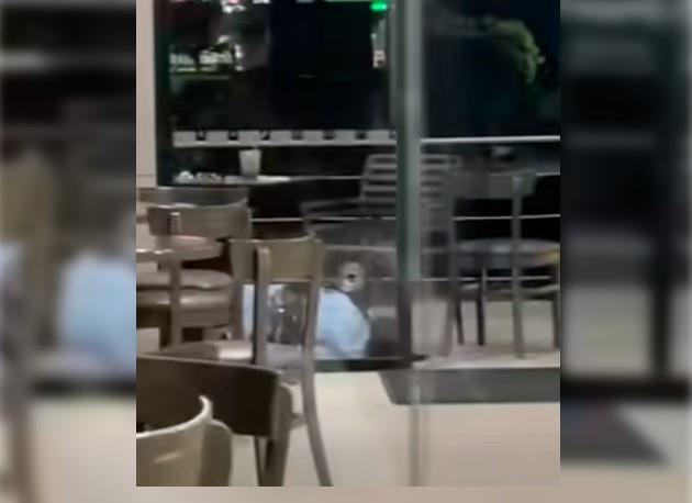 Ejecutan en Chiapas a Rafael Arturo Vila, hermano de delegado de la FGR de Guanajuato Ejecutan en Chiapas a Rafael Arturo Vila, hermano de delegado de la FGR de Guanajuato