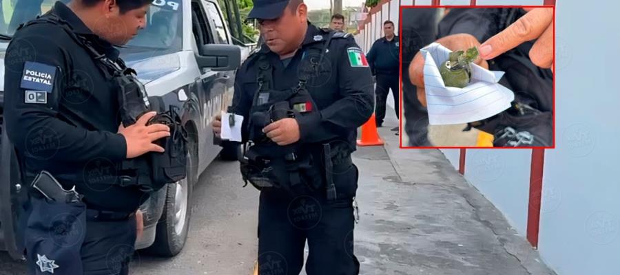 Alarma en Punta Brava por presunta granada; era un encendedor Alarma en Punta Brava por presunta granada; era un encendedor