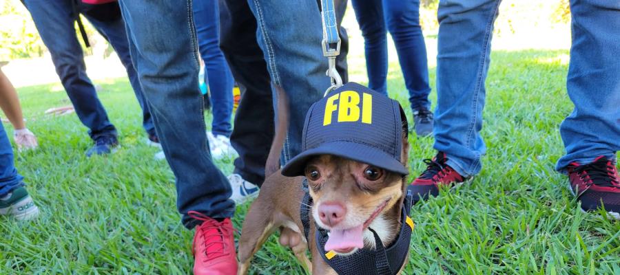 Tercera reunión de Chihuahuas será el 14 de septiembre en el Parque La Choca