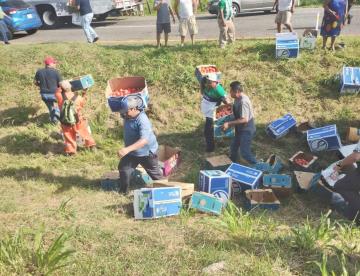 Rapiñan tomates de tráiler volcado en la Cárdenas – Villahermosa