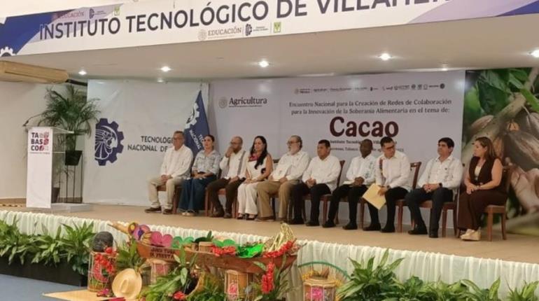 Especialistas y productores se unen en Tabasco para crear redes de producción sostenible de cacao