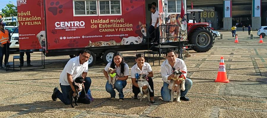 A partir de este jueves, Centro pondrá en marcha su nueva unidad de esterilización canina y felina