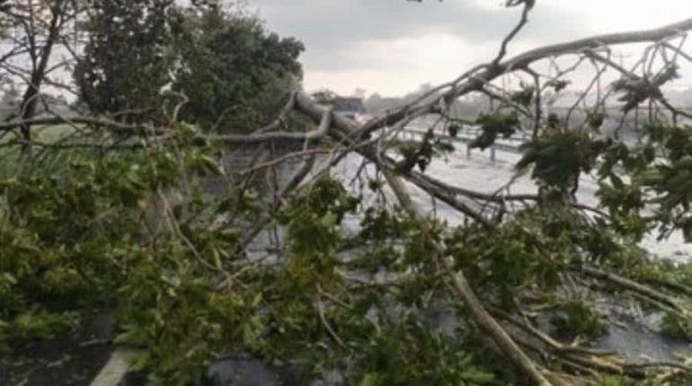 Lluvias y viento causan afectaciones en localidades de Cunduacán