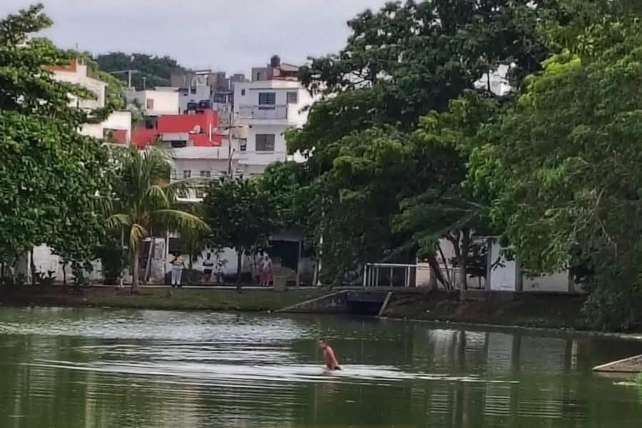 Captan a hombre dentro de Laguna El Jícaro, hábitat de cocodrilos Captan a hombre dentro de Laguna El Jícaro, hábitat de cocodrilos