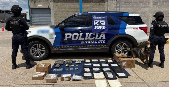 Perro policía frustra envío de droga y equipo táctico en Guanajuato Perro policía frustra envío de droga y equipo táctico en Guanajuato