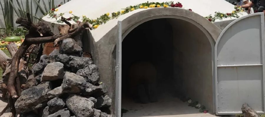 Mueren hermanos de 10 y 11 años dentro de baño de temazcal en Puebla