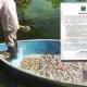 Asamblea ciudadana de defensa del parque La Venta exige análisis de calidad del agua en Las Ilusiones