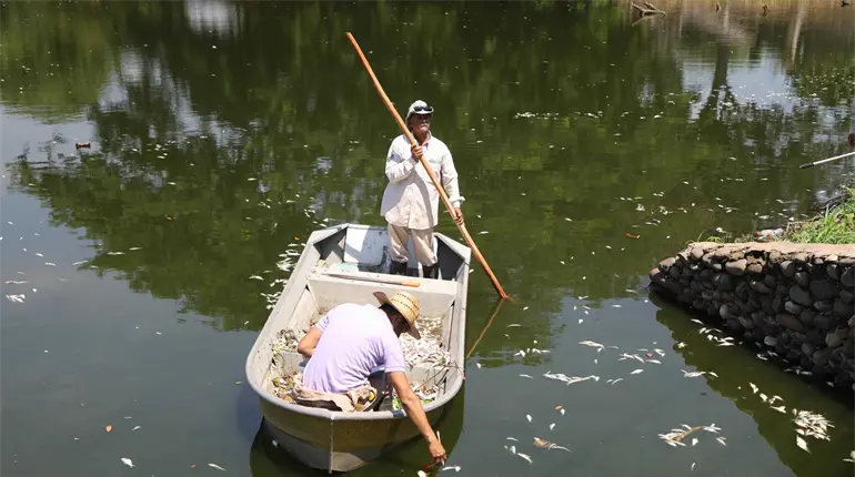 Reportan extracción de 35 toneladas de residuos de la Lagunas las Ilusiones