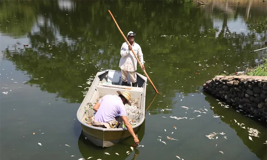 Reportan extracción de 35 toneladas de residuos de la Lagunas las Ilusiones
