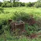 Revisa May y María Luisa Albores avances de la planta procesadora de cacao para Tabasco