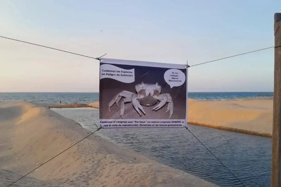 Colocan carteles contra la captura del cangrejo azul en Comalcalco