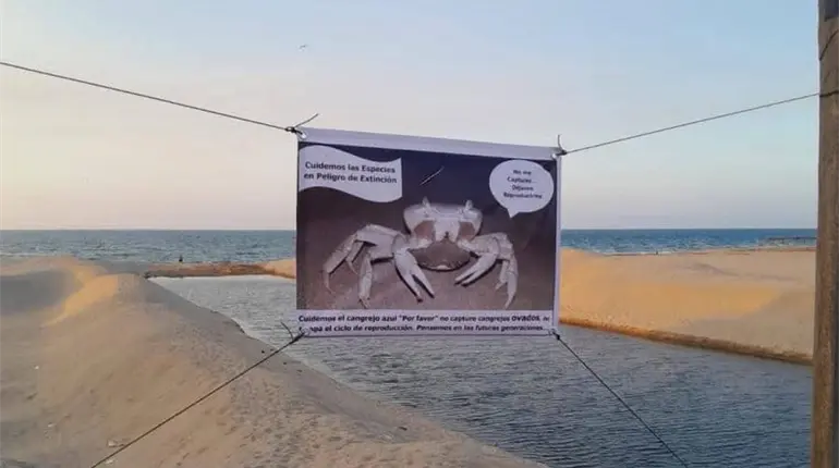 Colocan carteles contra la captura del cangrejo azul en Comalcalco