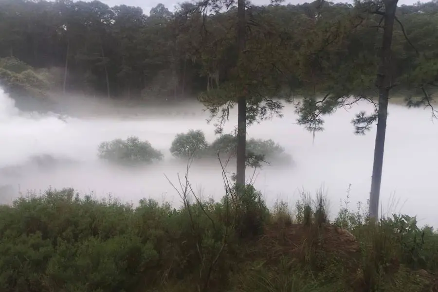 Evacuan a 3 mil personas en Tlaxcala por fuga de gas por toma clandestina