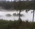 Evacuan a 3 mil personas en Tlaxcala por fuga de gas por toma clandestina