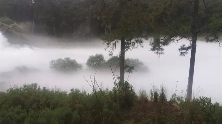 Evacuan a 3 mil personas en Tlaxcala por fuga de gas por toma clandestina