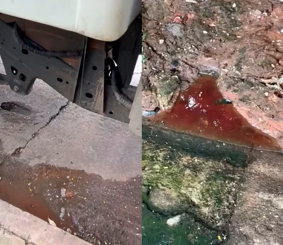 Denuncian vertimiento de agua de sangre de pescado en parque Cuauhtémoc y laguna de Las Ilusiones
