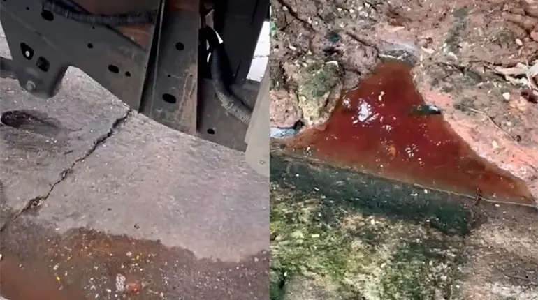 Denuncian vertimiento de agua de sangre de pescado en parque Cuauhtémoc y laguna de Las Ilusiones