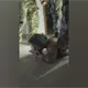 Con una bota en la espalda fue sometido Hernán Bermúdez en su detención