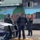Desmantelan red de marihuana de invernadero en CDMX; hay 4 detenidos