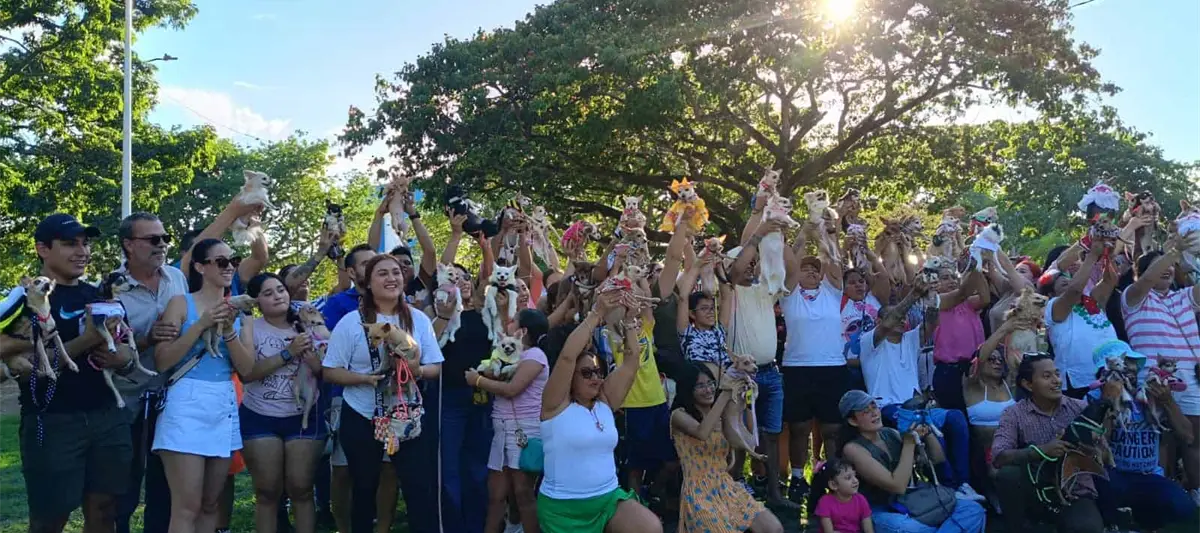 Participan 30 perritos en la tercera reunión de Chihuahuas en el Parque La Choca