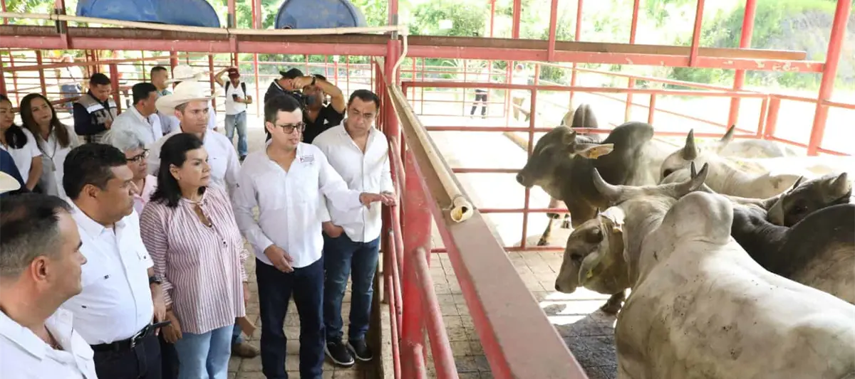 Ganaderos presentan proyecto a May; buscan obtener distinción de rastro TIF