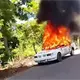 Desmantelan red de marihuana de invernadero en CDMX; hay 4 detenidos