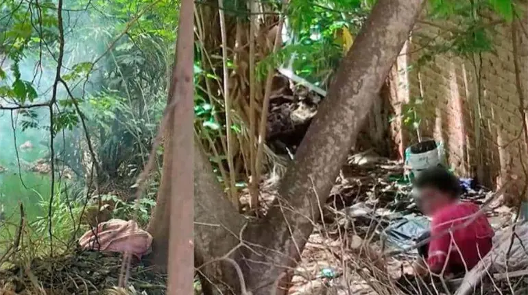 Persona en situación de calle se expone al invadir nido de cocodrilos en Laguna de las Ilusiones