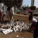 Solo 27 víctimas del accidente en Iztapalapa continúan hospitalizadas revela Salud de la CDMX