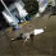 Mujer pierde el control y choca contra pozolería en Paraíso