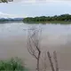 Ríos regresan debajo de su nivel de desbordamiento: Conagua Tabasco