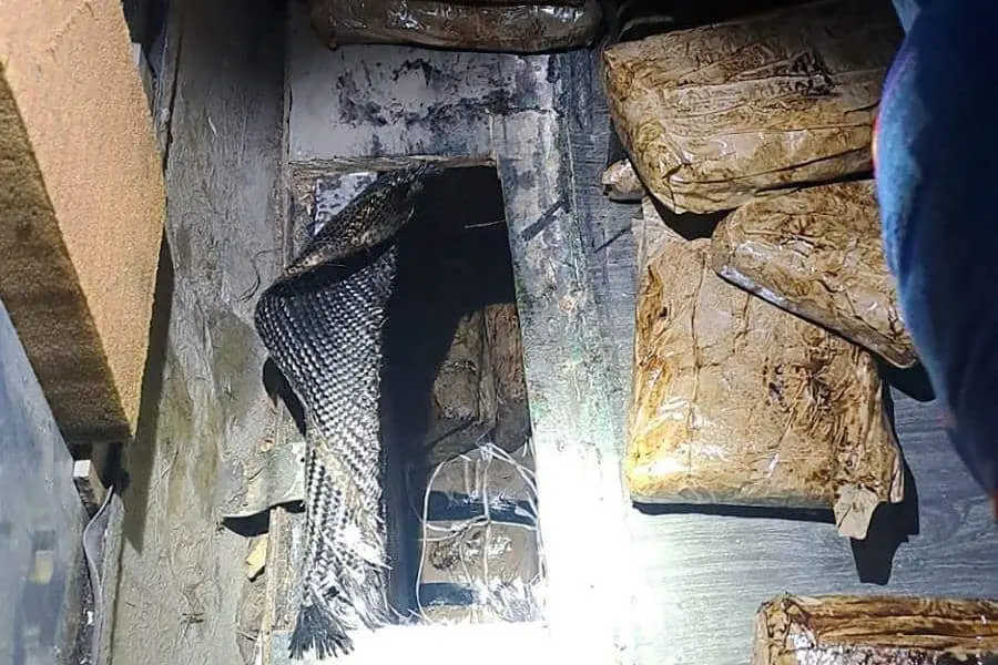 Detienen a dos con 48 kilos de heroína en Sonora: Gabinete de Seguridad