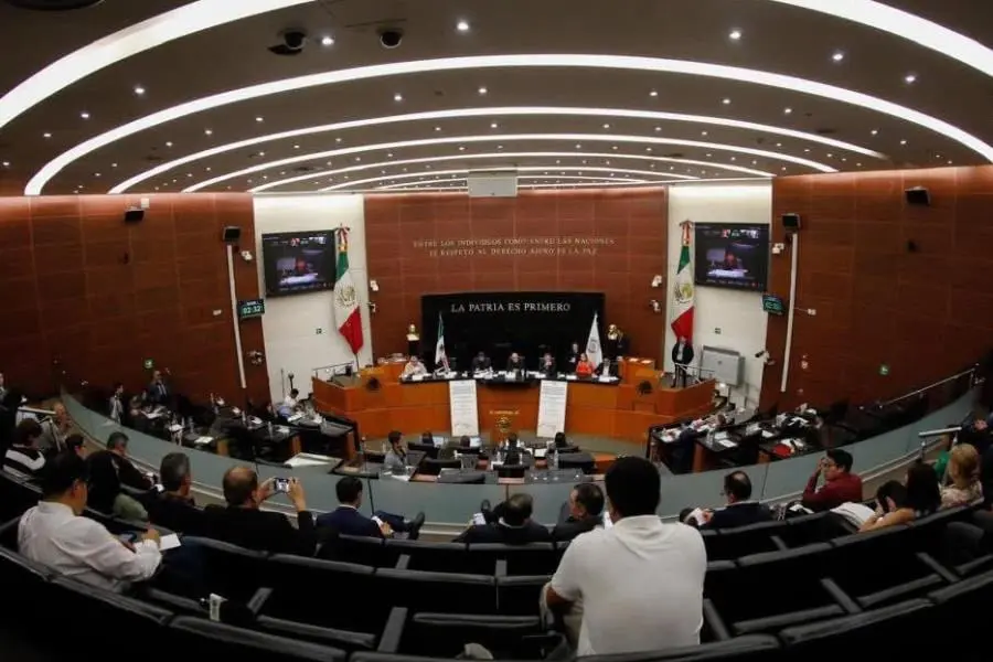 Senadores de Morena anuncian conversatorios sobre la Ley de Amparo