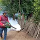 Gobierno debe garantizar seguridad y otorgar créditos a empresarios: Orquídea López