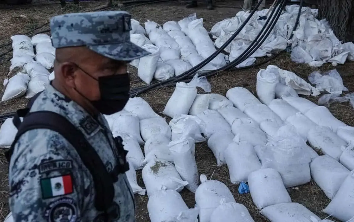 7 mil 587 detenidos y casi 100 toneladas de droga incautadas, suma Operación Frontera Norte