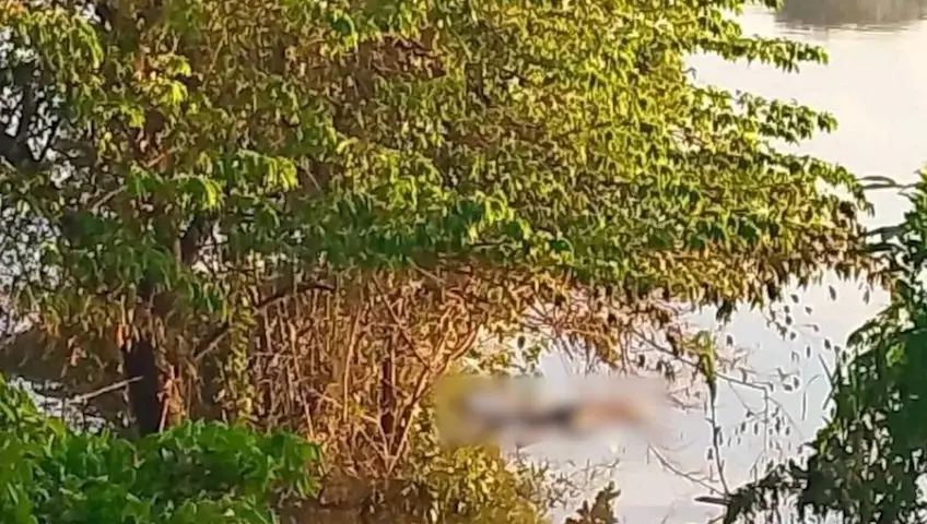 Hallan hombre sin vida en el río Usumacinta en Tenosique