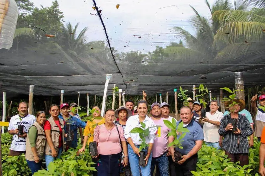 Inicia la entrega de plantas a participantes en la Jornada de Reforestación en Tabasco