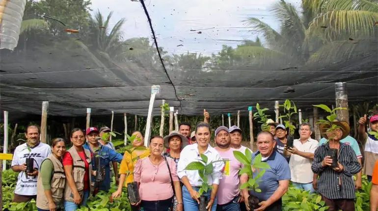 Inicia la entrega de plantas a participantes en la Jornada de Reforestación en Tabasco