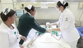 Pendiente de ser transferidos al IMSS Bienestar en Tabasco, 122 trabadores afiliados al SINAITSA