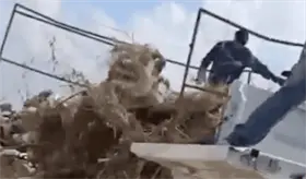 Captan a funcionarios de "Bienestar animal" arrojando cadáveres de perros y gatos en Coahuila