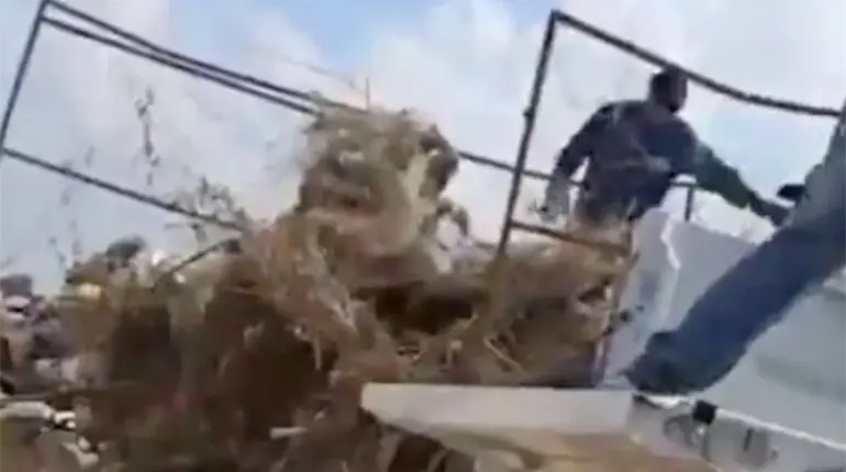 Captan a funcionarios de "Bienestar animal" arrojando cadáveres de perros y gatos en Coahuila