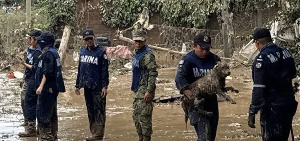 Más de 3 mil 600 personas han sido auxiliadas en Puebla, Veracruz y San Luis Potosí por inundaciones: Marina