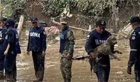 Más de 3 mil 600 personas han sido auxiliadas en Puebla, Veracruz y San Luis Potosí por inundaciones: Marina