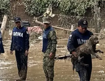 Más de 3 mil 600 personas han sido auxiliadas en Puebla, Veracruz y San Luis Potosí por inundaciones: Marina