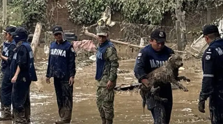 Más de 3 mil 600 personas han sido auxiliadas en Puebla, Veracruz y San Luis Potosí por inundaciones: Marina