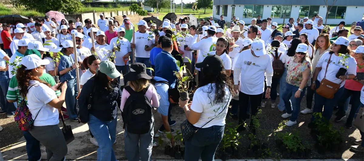 Planta UJAT más de 2 mil árboles en las 12 divisiones
