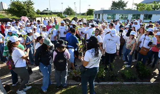 Planta UJAT más de 2 mil árboles en las 12 divisiones