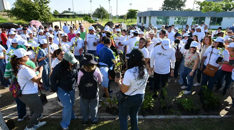 Planta UJAT más de 2 mil árboles en las 12 divisiones