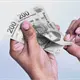 Planta UJAT más de 2 mil árboles en las 12 divisiones